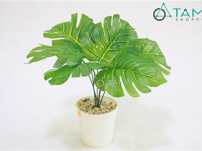 Chậu cây xanh giả để bàn Cây lá rùa cao 30cm số 69